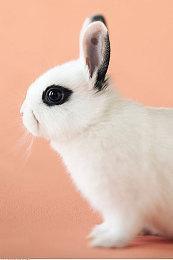 《永劫无间》新赛季上线销量突破600万 双十一价格史低只要6折